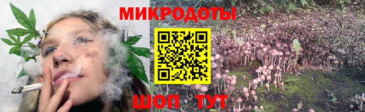 Галлюциногенные грибы Cubensis  Вход с VPN  Дзержинск 