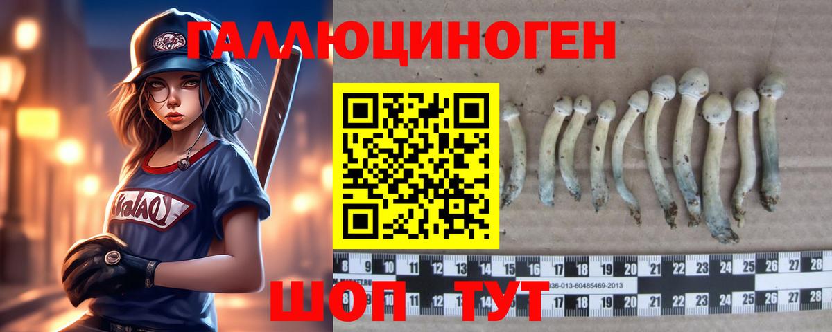 Псилоцибиновые грибы мухоморы Дзержинск